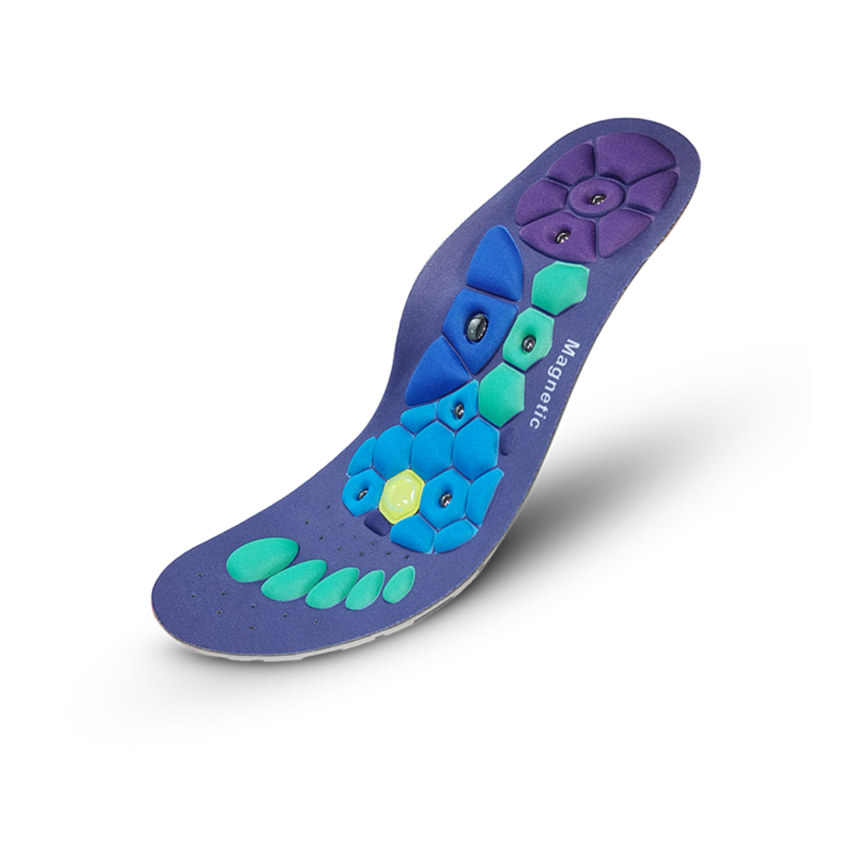 Evo Step